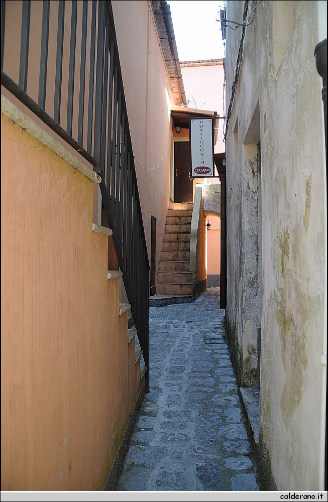 BBB_4966.jpg