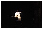 BBB_5039 - 86,5 KB