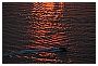 BBB_5337 - 238 KB