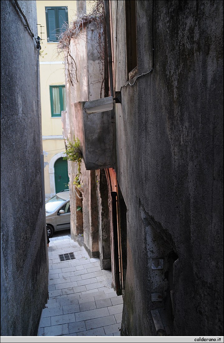 BBB_5453.jpg