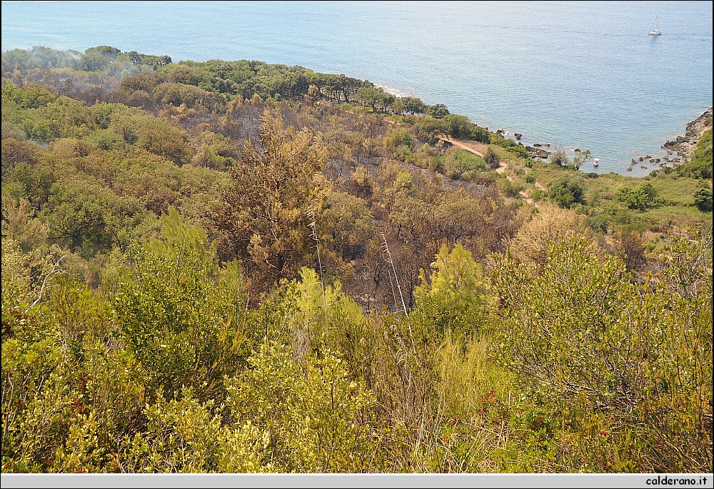 BBB_5570.JPG