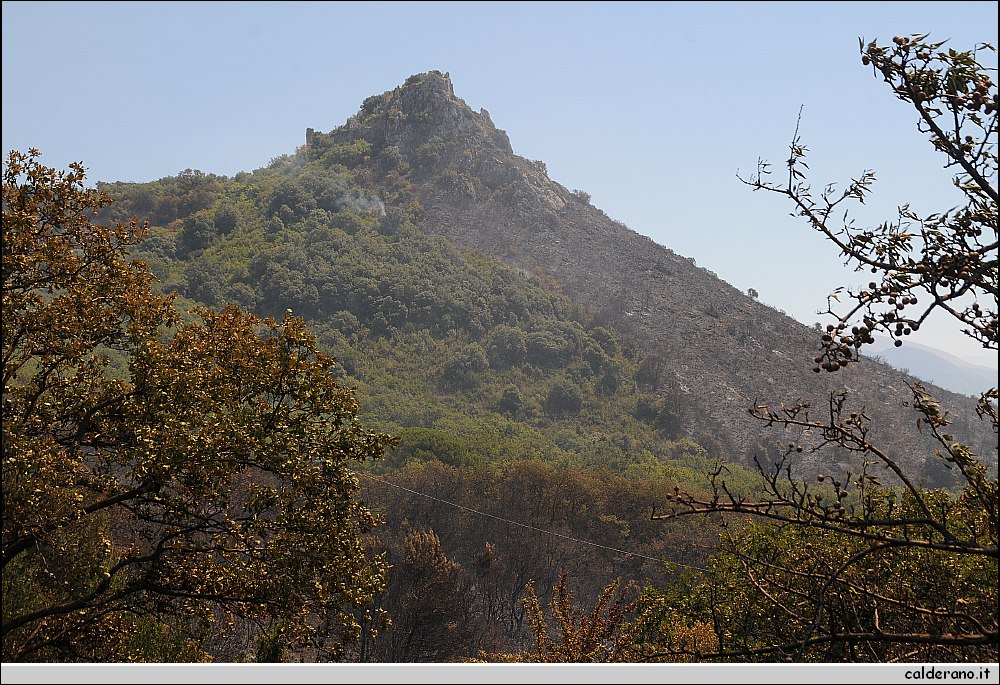 BBB_5577.JPG