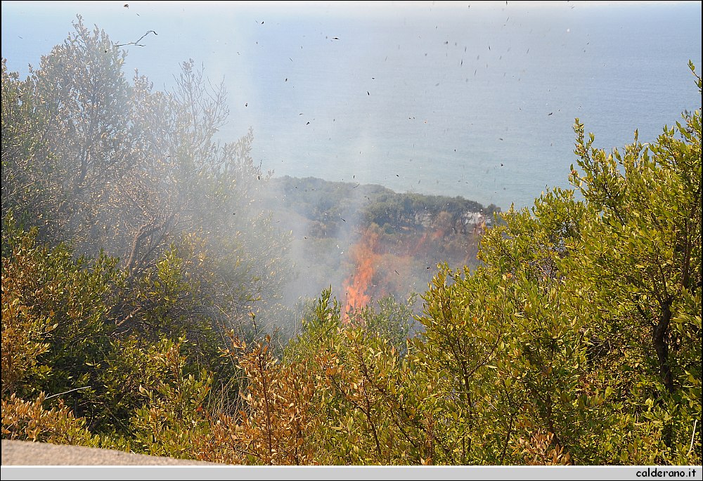BBB_5592.JPG