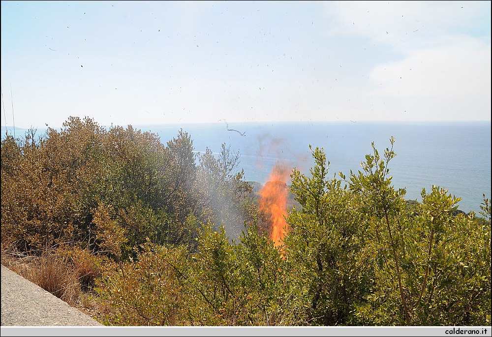 BBB_5598.JPG