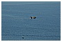 BBB_5574 - 188 KB