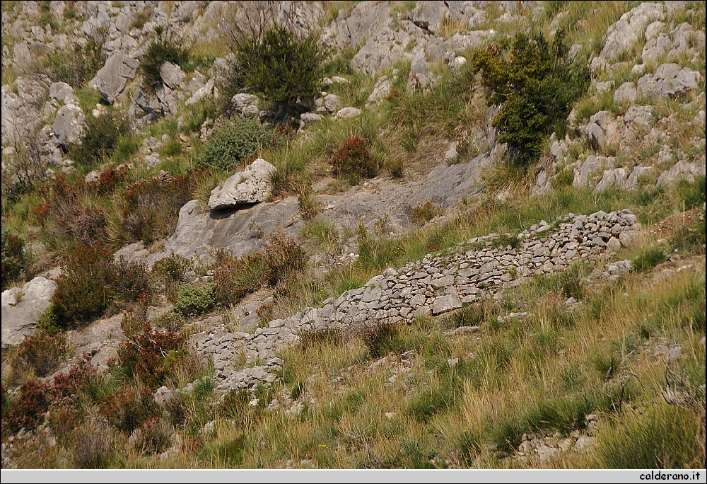 BBB_6706.JPG