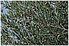BBB_6756 - 232 KB