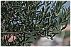 BBB_6759 - 187 KB