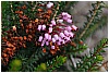BBB_6766 - 145 KB