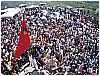 Cosi_per_caso 081 - 373 KB