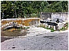 Cosi_per_caso 099 - 401 KB