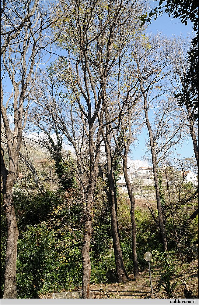 13B_9292.jpg