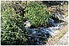 13B_9269 - 424 KB