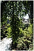 13B_9274 - 389 KB