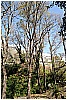 13B_9292 - 425 KB