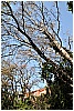 13B_9303 - 414 KB