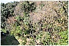 13B_9309 - 468 KB