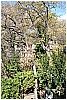 13B_9310 - 447 KB