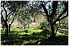 13B_9315 - 396 KB