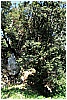 13B_9320 - 413 KB