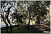 13B_9325 - 388 KB