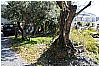 13B_9330 - 389 KB