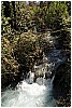13B_9339 - 351 KB