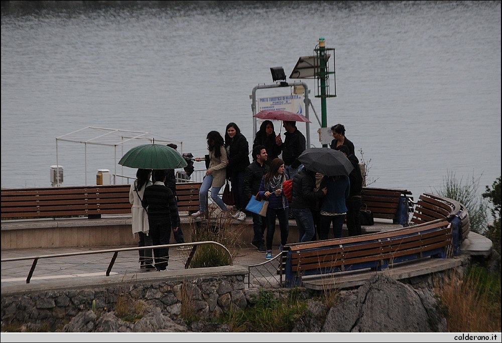 13D_9773.JPG
