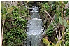 13D_9756 - 317 KB