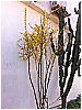 13C_9785a 007 - 268 KB
