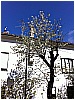 13C_9785a 008 - 313 KB