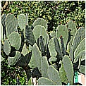 13D_9853 - 204 KB