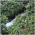 13D_9869 - 374 KB