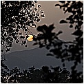 13D_9873 - 158 KB