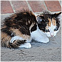 13E_0337 - 146 KB