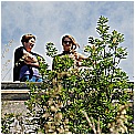 13E_0575 - 245 KB