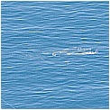 13E_0616a - 152 KB
