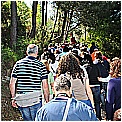 13E_1828 - 297 KB