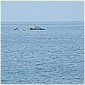 13E_2509 - 177 KB