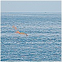 13E_2586 - 222 KB