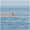 13E_2587 - 217 KB