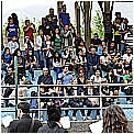 13F_3001 - 291 KB