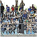 13F_3006 - 292 KB