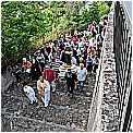 13F_3385 - 328 KB