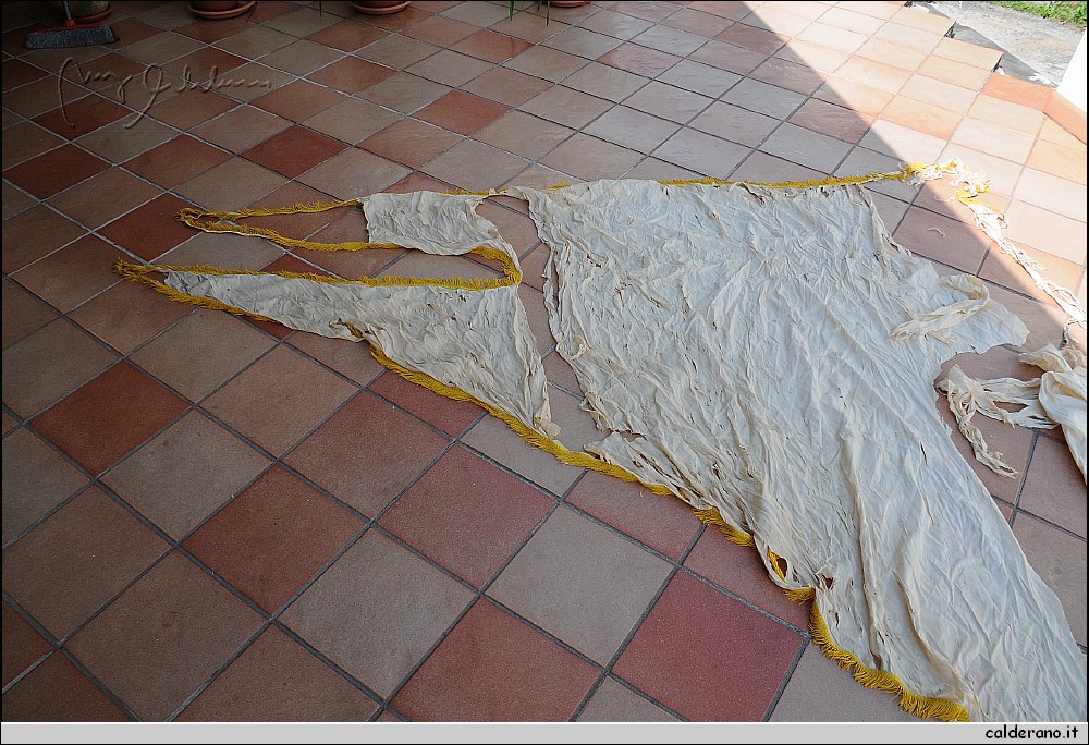 13F_3449.JPG