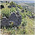13G_5495 - 393 KB