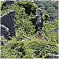 13G_5497 - 428 KB
