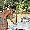13H_8768 - 261 KB
