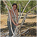 13H_8770 - 296 KB