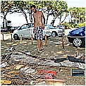 13H_8810 - 360 KB